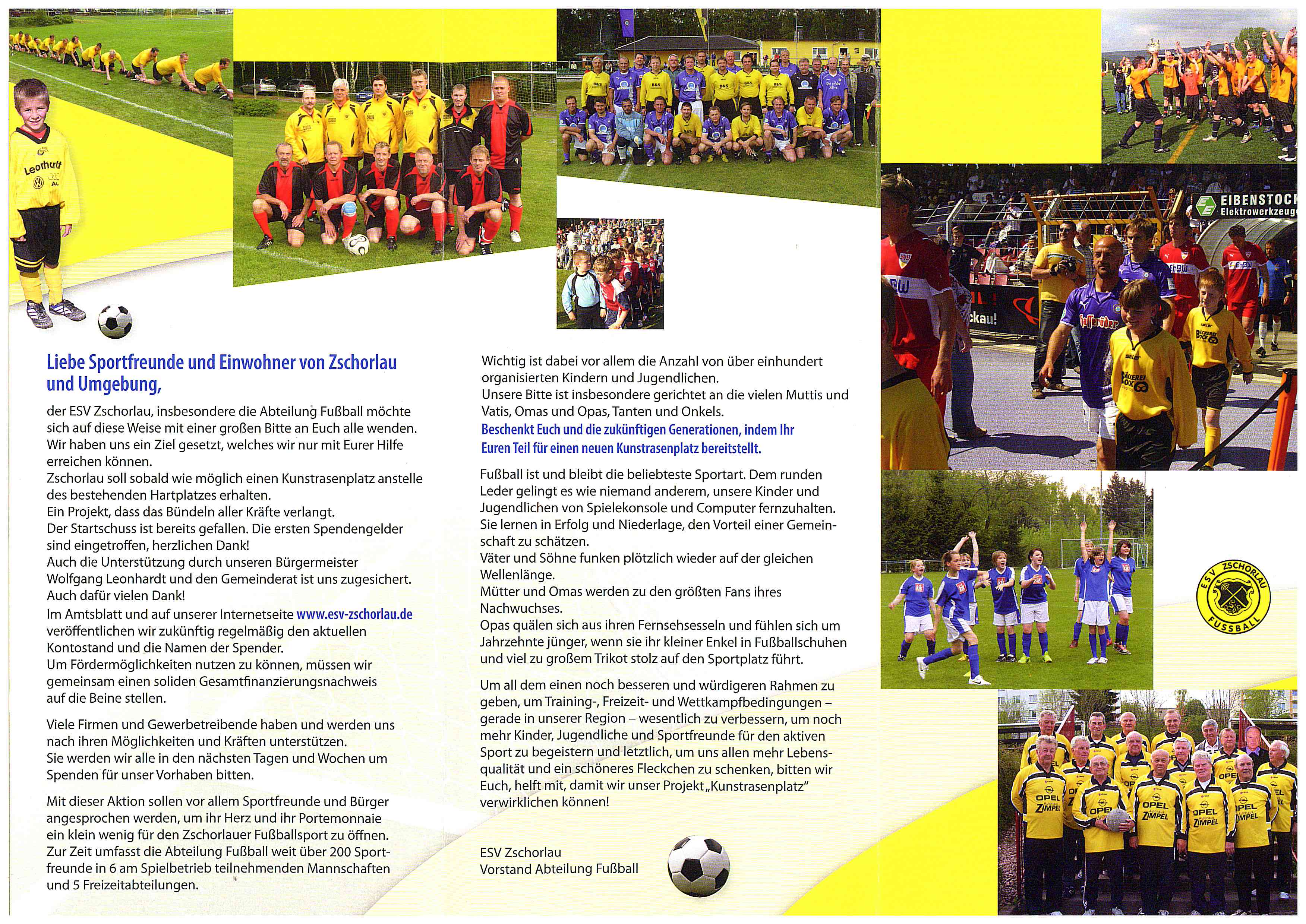 Flyer Kunstrasen 2012 Seite 2